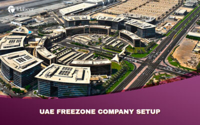 Everything about UAE freezone company setup