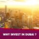 why invest in dubai