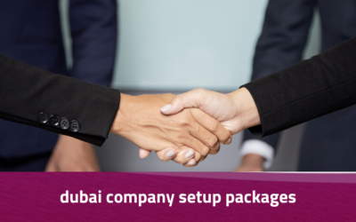 Dubai Company Setup Packages: Affordable Business Solutions